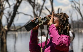 在肯尼亚纳库鲁湖国家公园，一名记者在一次活动中使用双筒望远镜了解气候变化对生物多样性的影响